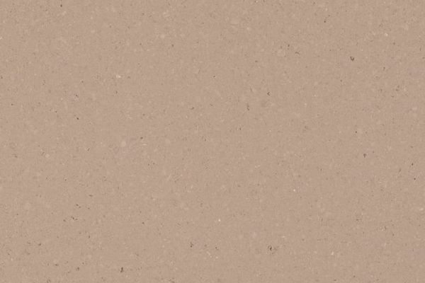 kvartsist töötasapind Caesarstone Shitake, Polished-Honed